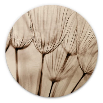 Wandcirkel Hout Dandelions 