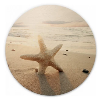 Cuadro de madera Estrella de mar centelleante en una playa solitaria - Redondo 