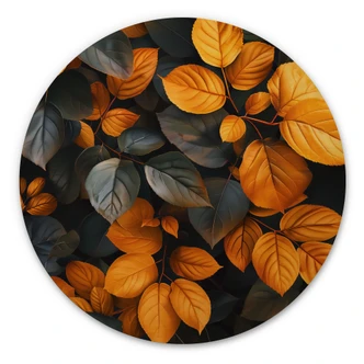 Tableau sur bois Feuilles lumineuses en automne - Jaszke - Rond 