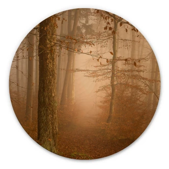 Tableau sur bois Brume et lumière dans la forêt d'automne - Maier - Rond 