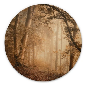 Tableau sur bois rond Forêt dans la brume du matin - Maier 
