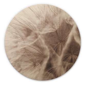Holzbild Pusteblume Close Up - Rund 