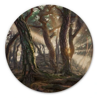 Tableau sur bois Forêt de pins sacrée - Ryu - Rond 