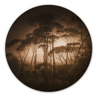 Wandcirkel Hout Parasoldennen in Italiaans Landschap - Sepia 