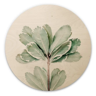 Tableau sur bois Sisi & Seb - Botanique - Rond 