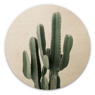 Cuadro de madera planta de cactus - Sisi & Seb - Redondo 