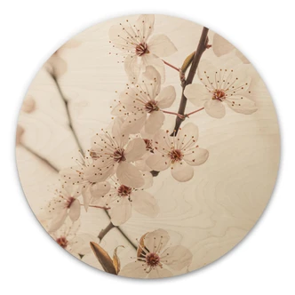 Cuadro de madera en rama con cerezos blancos en flor - Sisi & Seb - Redondo 