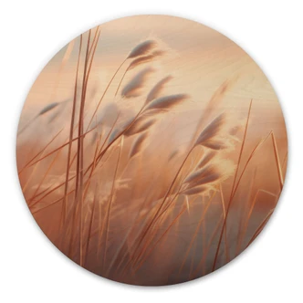 Tableau sur bois L'herbe des dunes au soleil couchant - Treechild - Rond 