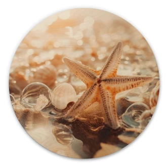 Tableau sur bois Coquillages sur une plage ensoleillée - Treechild - Rond 