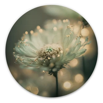 Tableau sur bois Délicat scintillement des fleurs - Treechild - Rond 