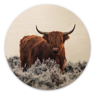 Tableau sur bois rond van den Helm - Highlander 