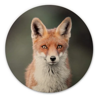 Cuadro de madera van Duijn - Ojos de zorro - Redondo 