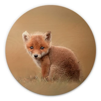 Wandcirkel Hout van Duij - Baby Fox Wandcirkel Hout van Duij - Baby Fox