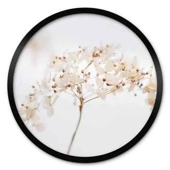 Poster 1X Studio - Kvist med fina blommor - Rund 