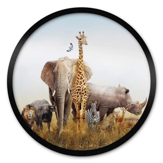 Poster Afrikanische Tiere - Rund 