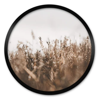 Poster Annie - Wild Grass 