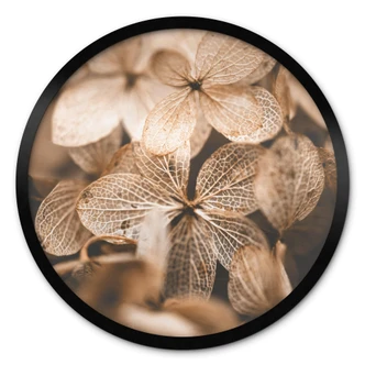 Plakat Annie - Delicate Flowers 