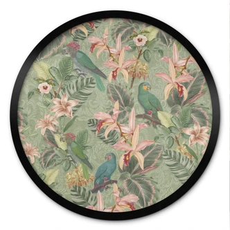 Poster Dschungel mit Papageien Grün - Bloomery Decor - Rund 