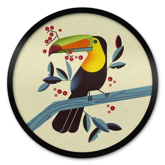 Poster Braun - Tucano 
