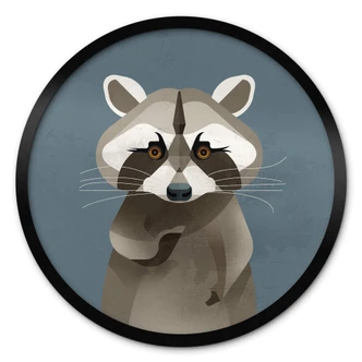 Poster Procione - Braun 