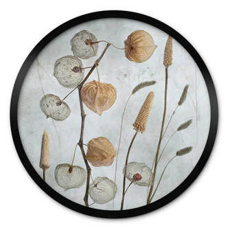 Plakat Suszone Kwiaty Lampionu - Disher - Okrągły 