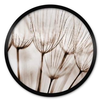 Poster Dandelions 