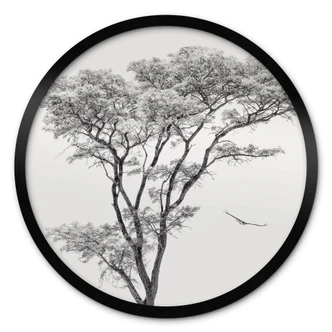 Poster Minimalistischer Baum in ruhiger Landschaft - Flour - Rund 
