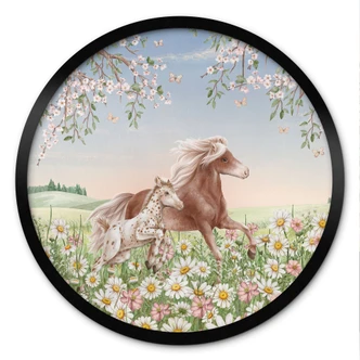 Poster Pferde auf der Blumenwiese - Kikki Belle - Rund 