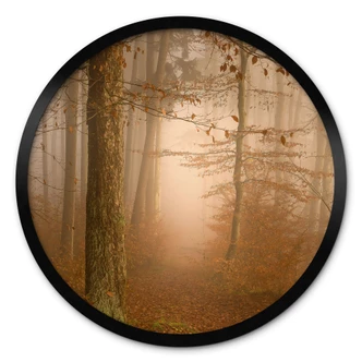 Poster Dunst und Licht im herbstlichen Wald - Maier - Rund 