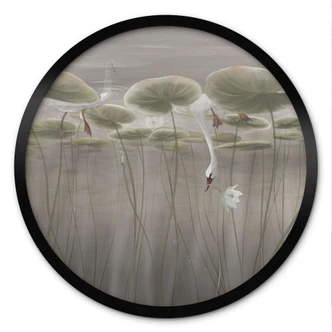 Poster Lotusbloemen met zwaan in water in grijs - Ms Tiff - Rond 