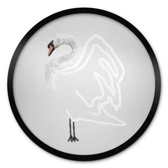 Poster Zwaan illustratie - Roberg 