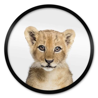 Póster Sisi & Seb - Bebé león - Redondo 