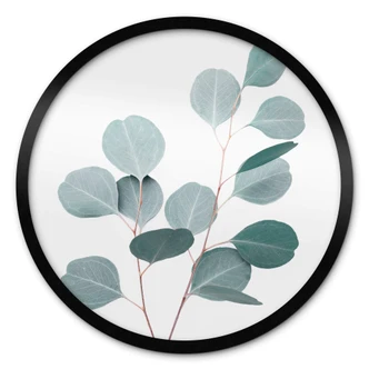 Poster Sisi & Seb - Blauer Eukalyptus - Rund 