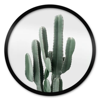 Poster Cactusplant - Sisi & Seb 