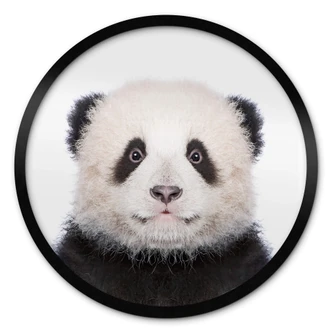 Poster rond Sisi & Seb - Baby Panda 