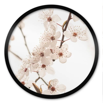 Poster tak met witte kersenbloesems - Sisi & Seb - Rond 