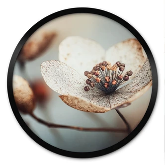 Poster Boho gedroogde bloem macro - Treechild - Rond 