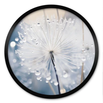 Poster Funkelnde Pusteblumen - Treechild - Rund 