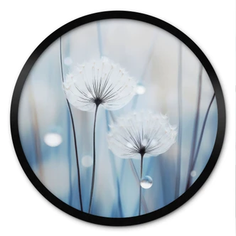 Poster dauwparels op paardenbloemen - Treechild - Rond 