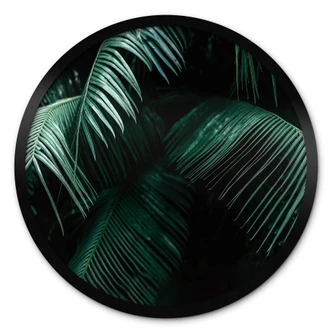 Poster Rond Tropical Botanics 
