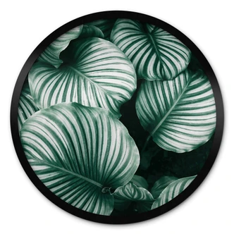 Poster Rond - Urban Jungle 