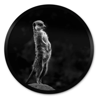 Póster van Son - Vigilancia - Redondo 