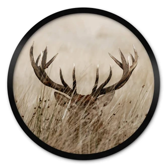 Poster Wachsamer Hirsch - Rund 