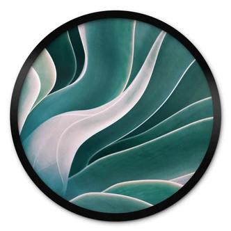 Poster Wechsler - Agave Pflanze im Morgenlicht - Rund 