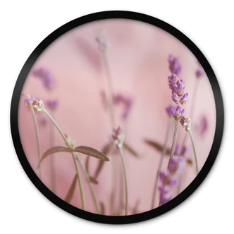 Poster rond Delicate Lavender 