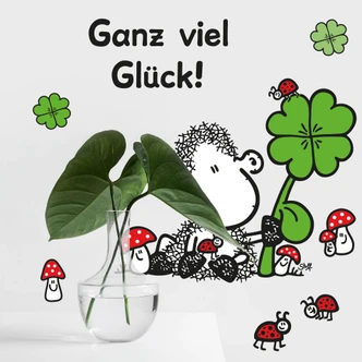Wandtattoo sheepworld Ganz viel Glück 