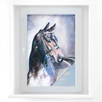 Film occultant - Aquarelle d'un cheval 