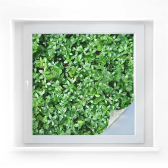 Sichtschutzfolie Der grüne Daumen - quadratisch 