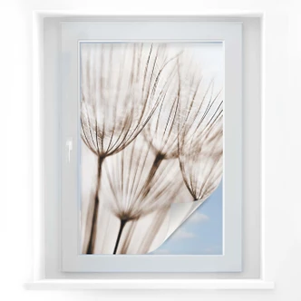 Sichtschutzfolie Fliegerschirmchen Sichtschutzfolie Fliegerschirmchen