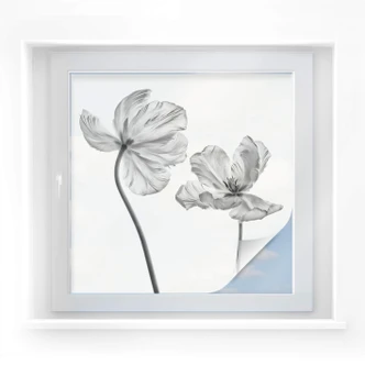 Raamfolie Grønkjær - Tulpen 